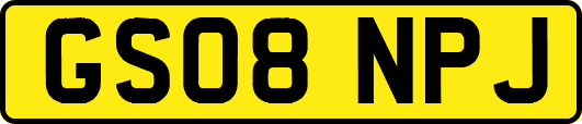 GS08NPJ