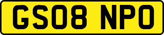GS08NPO