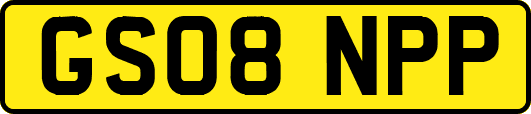 GS08NPP
