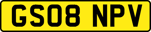 GS08NPV