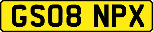 GS08NPX