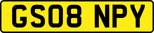 GS08NPY