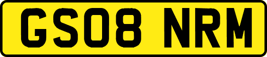 GS08NRM