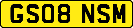 GS08NSM