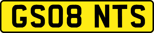 GS08NTS