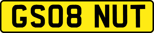 GS08NUT