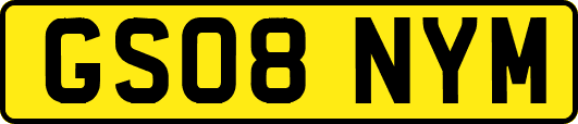 GS08NYM