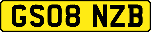 GS08NZB