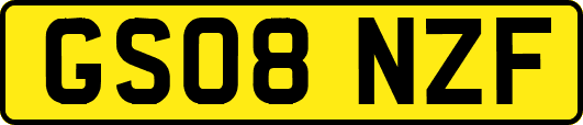 GS08NZF