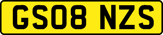 GS08NZS