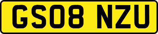 GS08NZU