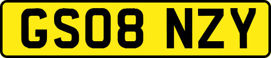 GS08NZY