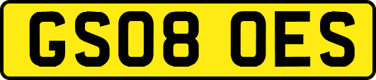 GS08OES