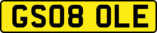 GS08OLE