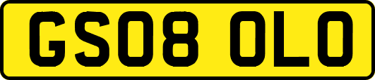 GS08OLO