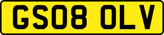 GS08OLV