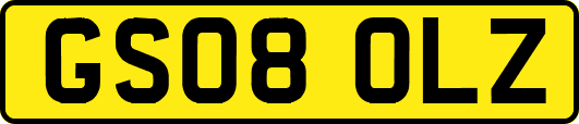 GS08OLZ