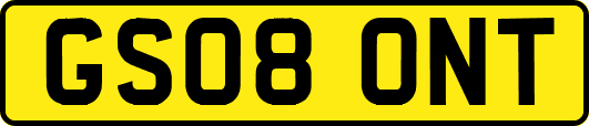 GS08ONT