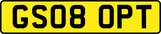GS08OPT