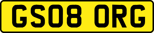 GS08ORG
