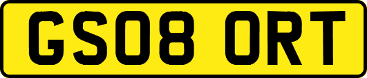 GS08ORT