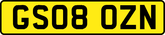 GS08OZN