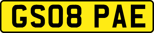 GS08PAE