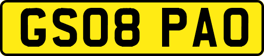 GS08PAO
