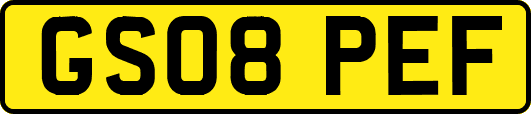 GS08PEF