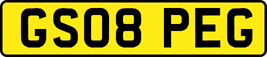 GS08PEG