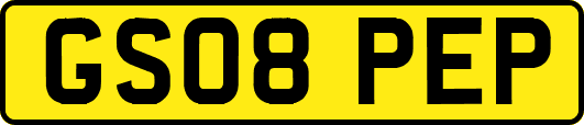 GS08PEP