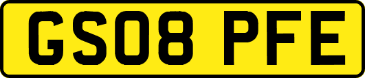 GS08PFE