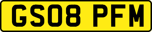 GS08PFM