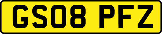 GS08PFZ