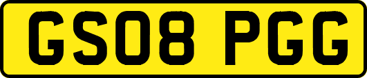 GS08PGG