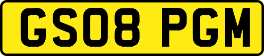GS08PGM