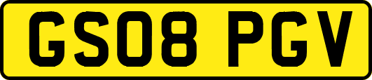GS08PGV