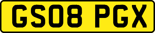 GS08PGX