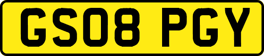 GS08PGY