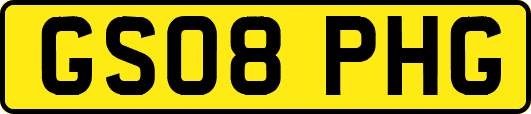 GS08PHG