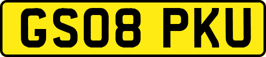 GS08PKU