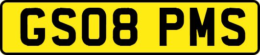 GS08PMS