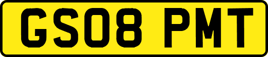 GS08PMT