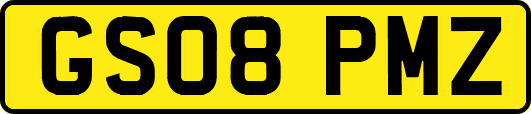 GS08PMZ