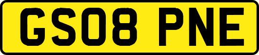GS08PNE