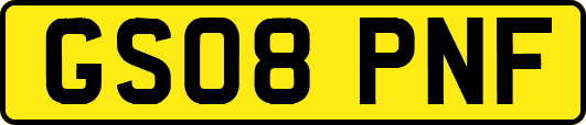 GS08PNF
