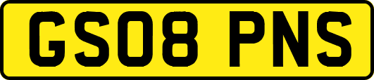 GS08PNS