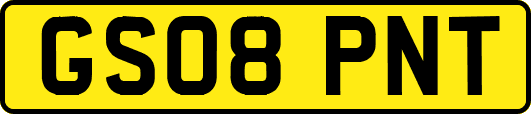 GS08PNT