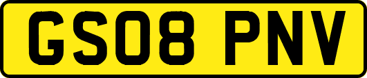 GS08PNV