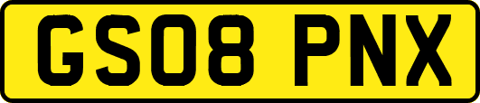GS08PNX